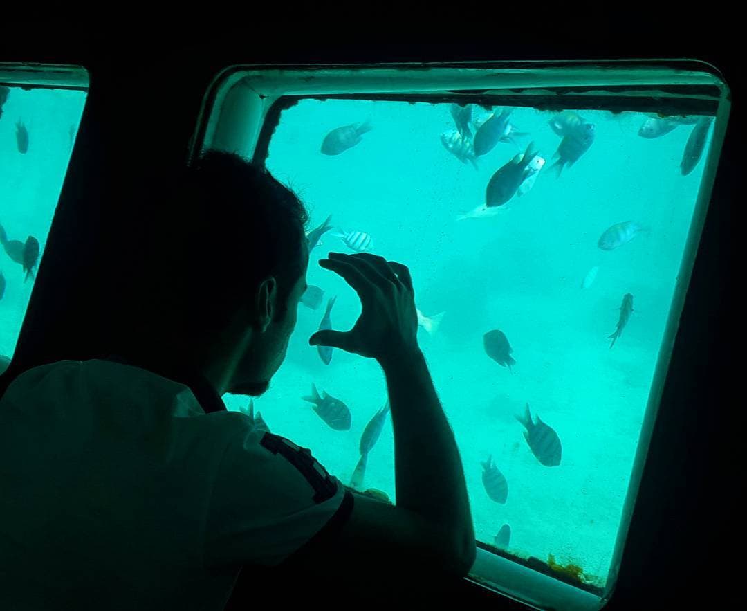 Aquarium Ship Aquarium Ship