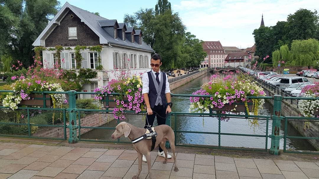 Strasbourg: Life Style Strasbourg: Life Style