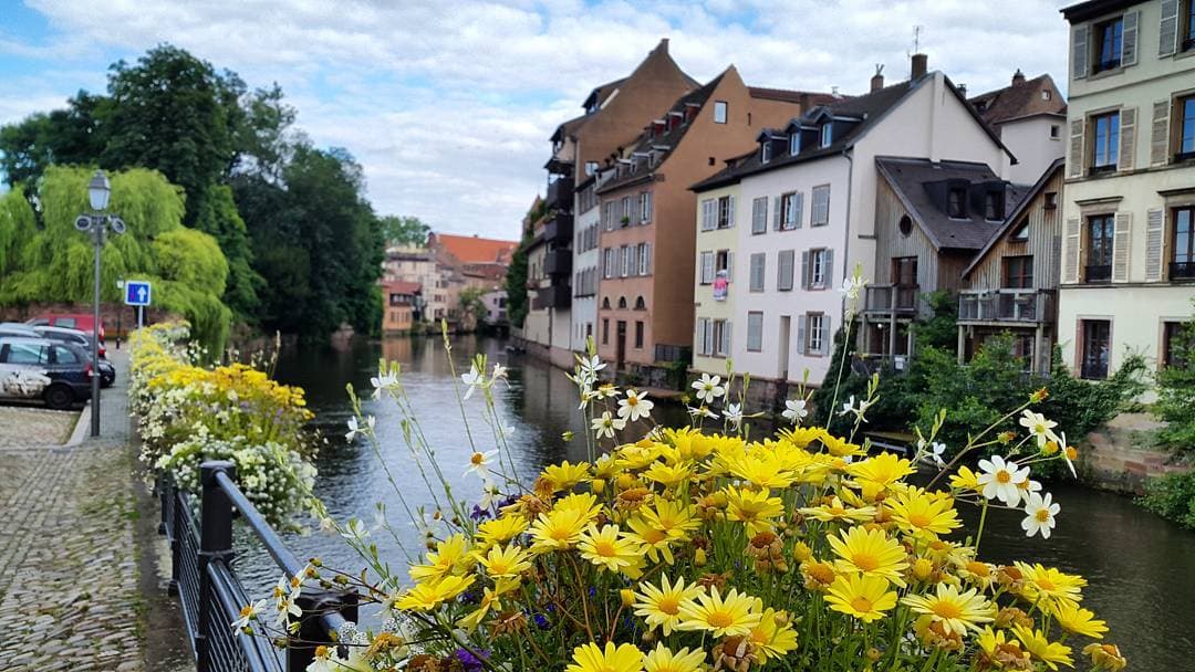 Strasbourg: City of Flowers Strasbourg: City of Flowers